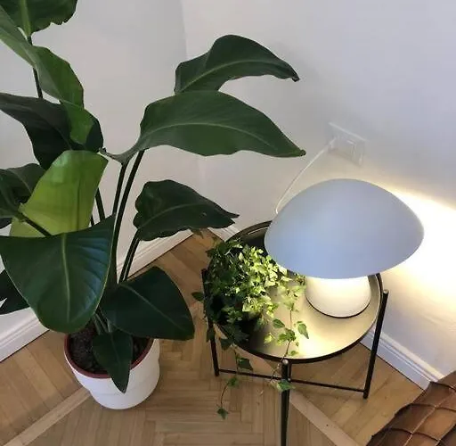 Bnbutler - Guercino, 8 - Renovated Design