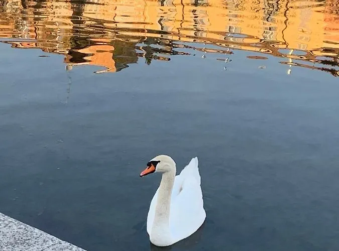 Con Terrazza In Zona Navigli - Tortona Appartement