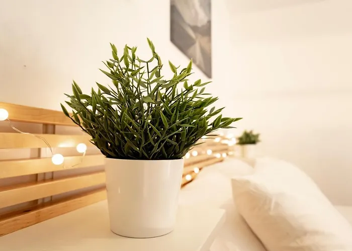 Navigli La Magolfa *