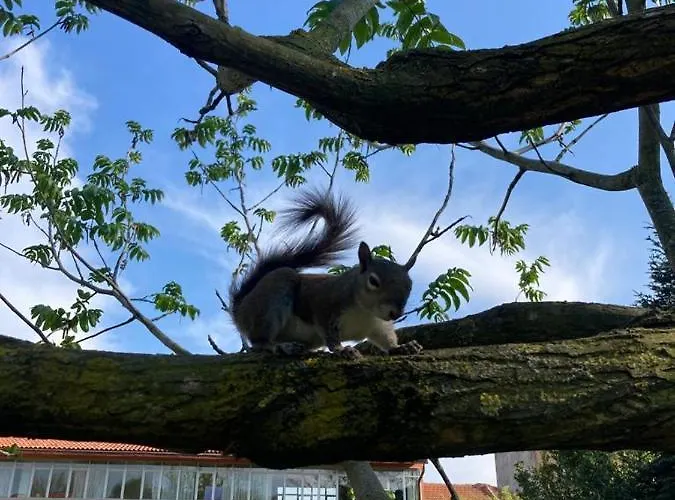 A Casa - Just Like At * Milán