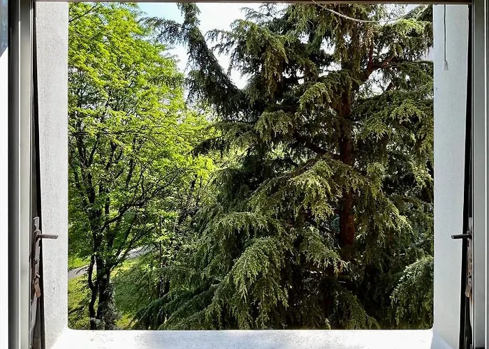 The Bright Place: Wide And Modern In *