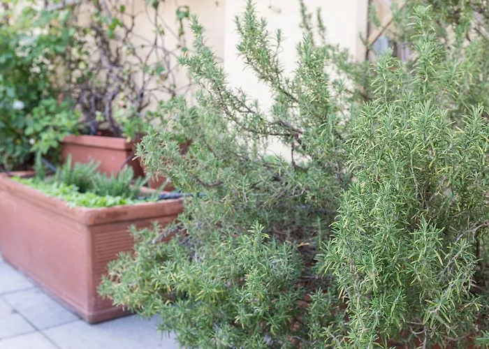 Sempione Split-level Terrace - Collection Apartamento *