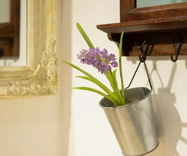 Canal View Historical *