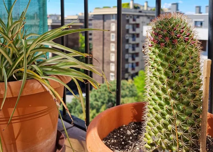 Διαμέρισμα Italianway Comfort - Voghera 11 B