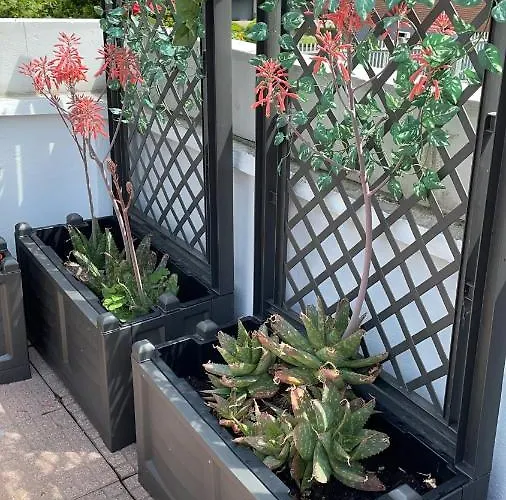 Appartement Canal Milan