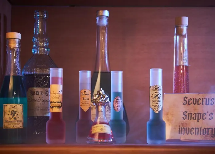 Harry Potter's Magic House - Metro M4 - Linate - Citta Studi Milano