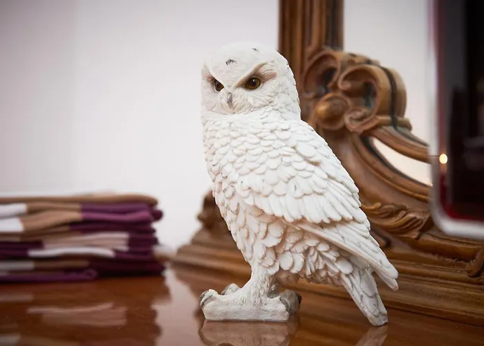 Harry Potter's Magic House - Metro M4 - Linate - Citta Studi Milano