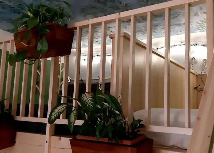 Apartment Clorofilla *