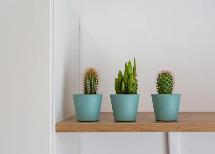 Casa vacanze Khl - Sansiro, *