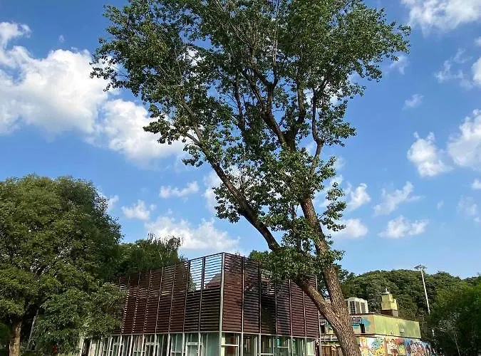 A Casa - Just Like At *