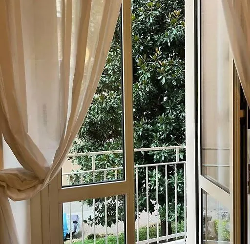 Modern Pretty Near Isola Zone *