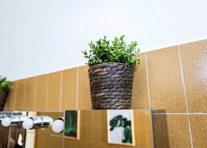 Lamarmora Charming *