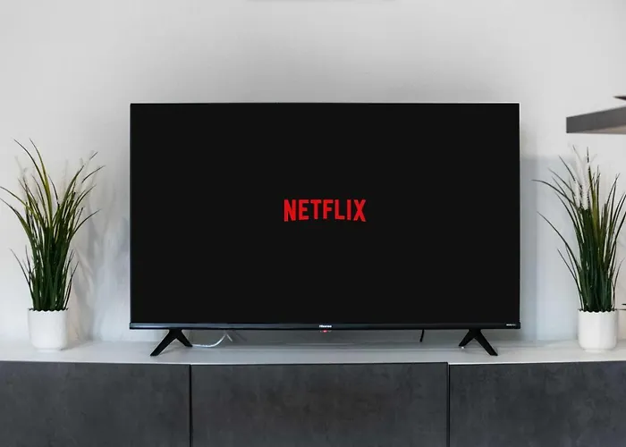 Junior With Netflix And Wifi