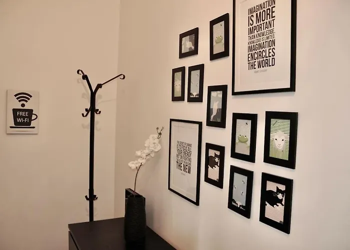 Nolo Black White & Coral *