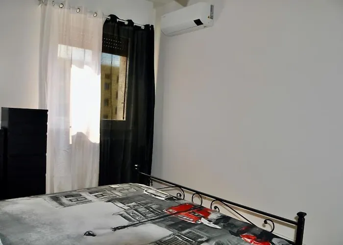 Daire Nolo Black White & Coral