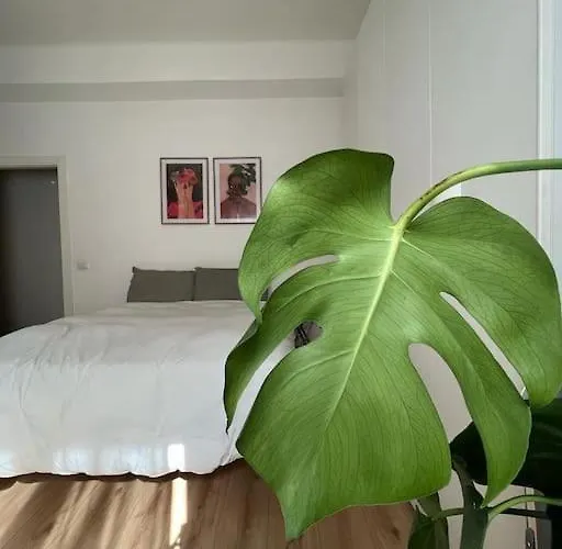 In-experience 公寓 *