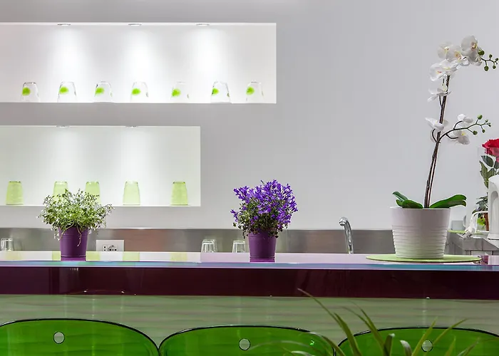 Отель Palmanova