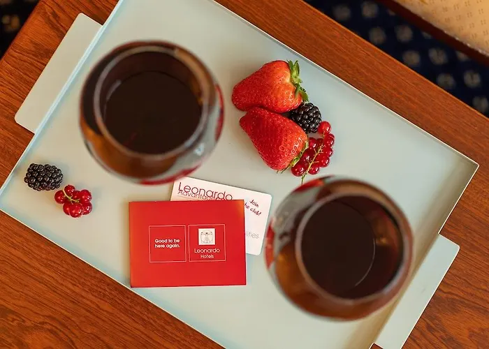 酒店 米兰市中心莱昂纳多酒店 米兰