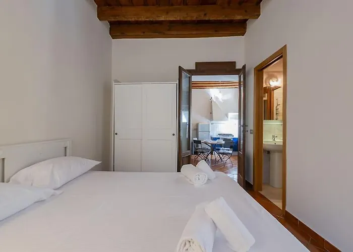 Youhosty - Ripa5 C *