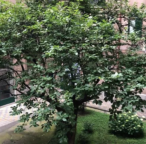 公寓 Venini Station *