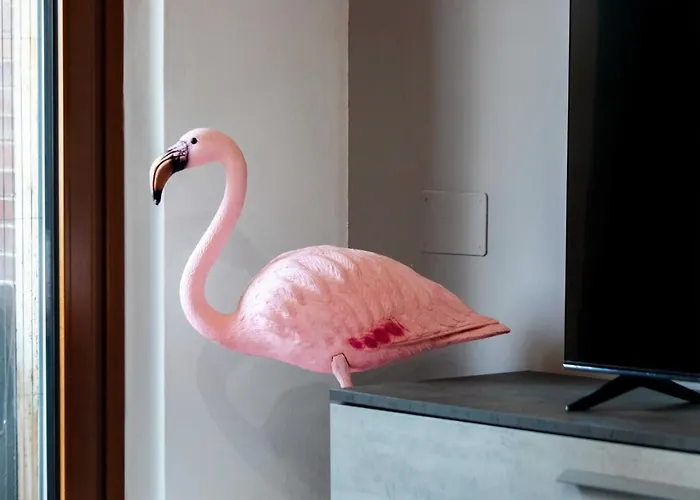 Casa Cosy Flamingo *