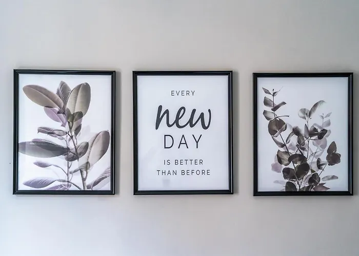 Politecnico/duomo Eleganza, Design E Comfort