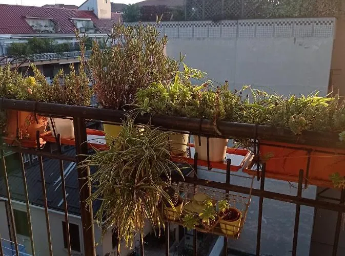 Terrazza18 Lejlighed *