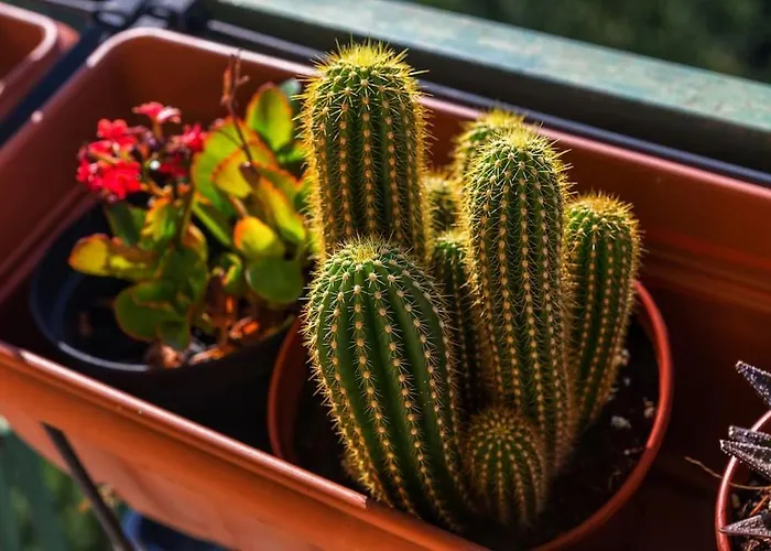 Sunny & Updated Flat With Panoramic View 50m From M4 Stop *