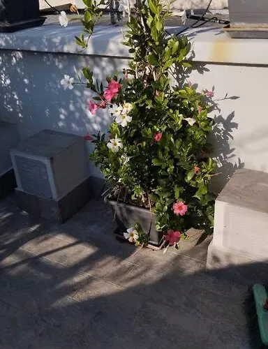 公寓 Lovely Arch 米兰