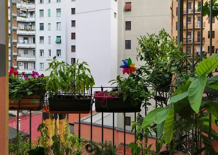 Primopiano - Frisi * ميلان