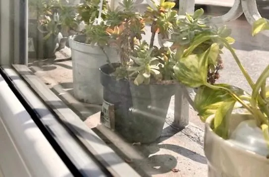 The Small White House In Apartmán Milán