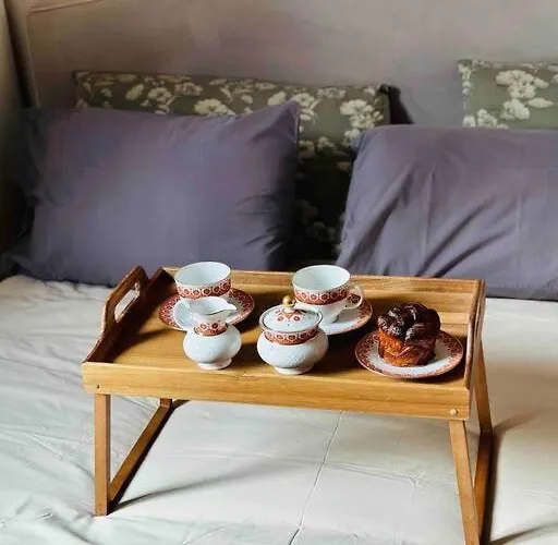 公寓 Stylish Boutique Next To Duomo 米兰