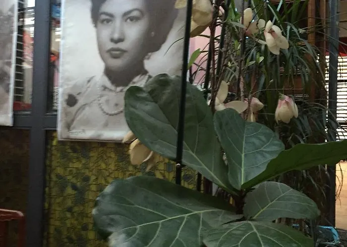 Villa Doree לינה וארוחת בוקר 2*