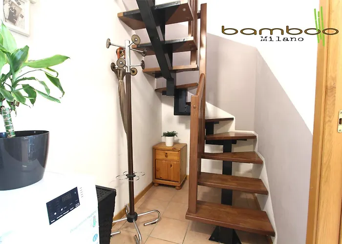 Bamboo Copernico *
