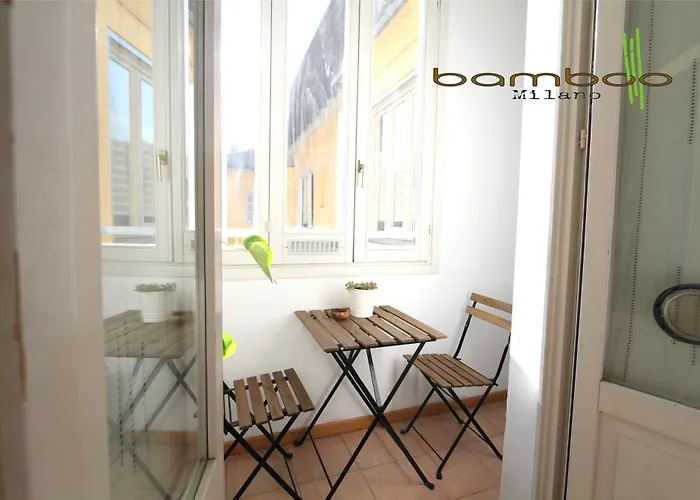 Bamboo Copernico *