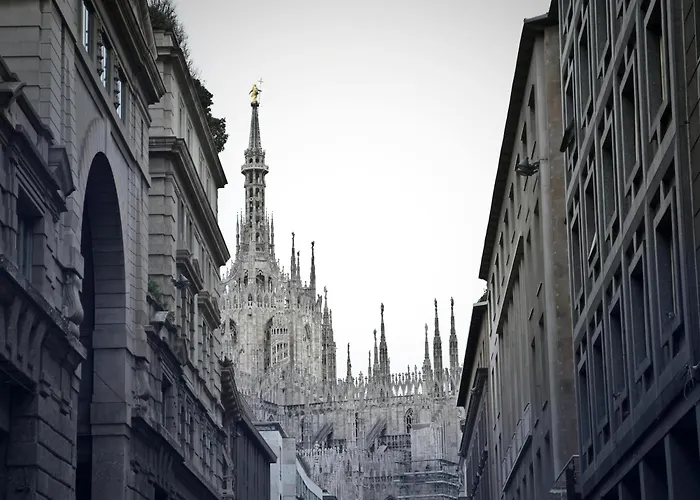 The Urban Wildlife - San Babila Duomo