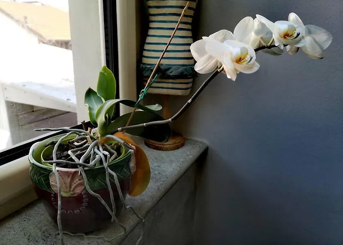 Apartment Centrale-luxury With Garden Terrace *