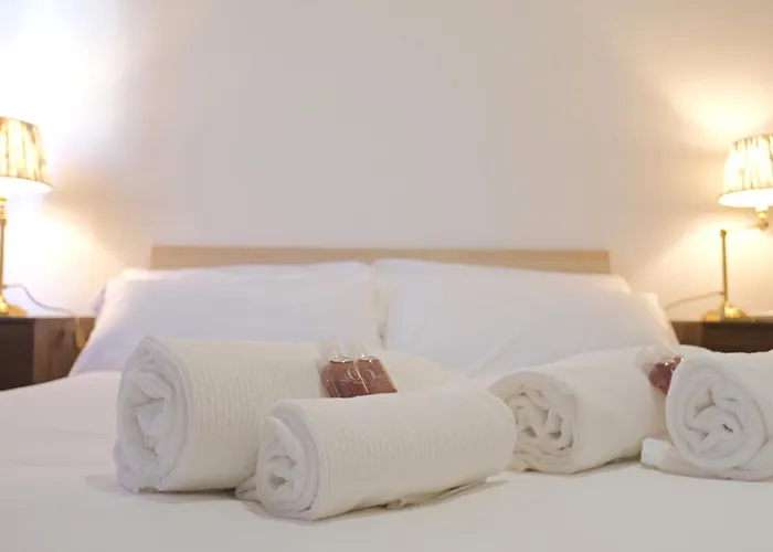 Orea Spiti - The Urbanite