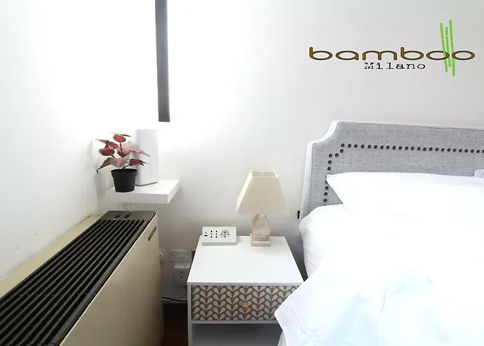 Bamboo Unione Class *