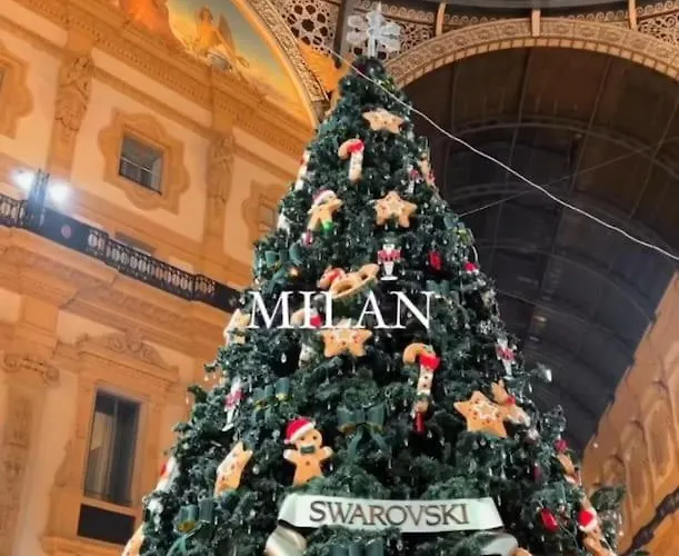 Apartment People In *