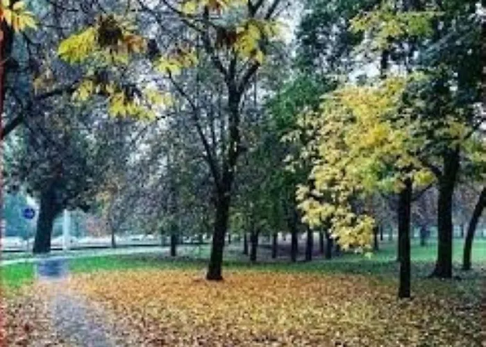Διαμέρισμα In *