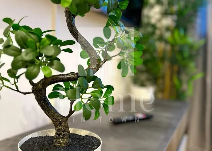 Appartamento In Town - - Porta Nuova District Milano