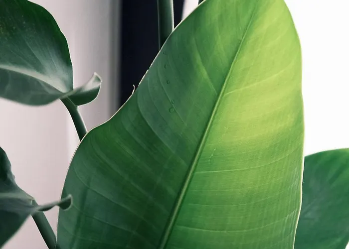 Comecasa Bright Flat With Private Terrace *