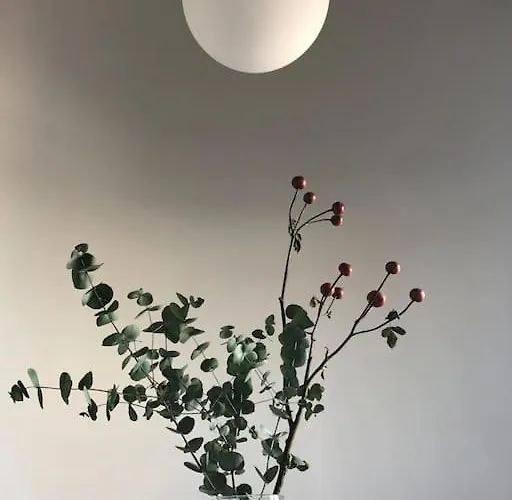 Big Bright Cozy In Nolo Near Mm1 * Μιλάνο