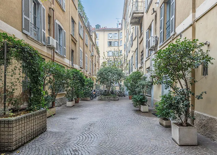 Art Around In Monti House