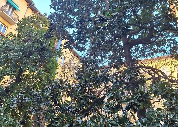 A Casa Di Ross