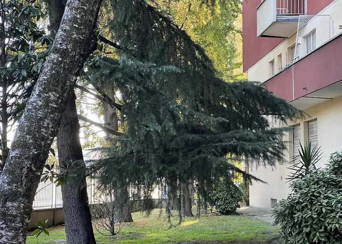 Nene Wifi Gigabit Fiera Rho * 밀라노