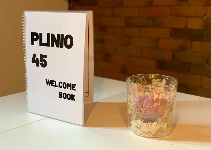 Mini Loft A - Citta Studi, Porta Venezia Daire *