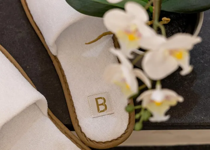 Beplace In Caiazzo Apartment Milan