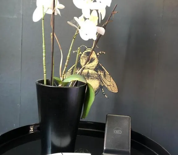 Lippi 42 Single Room's In With Garden *